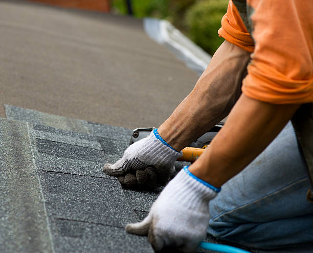 Best Roof Waterproofing Services  in Rkesburg, PA