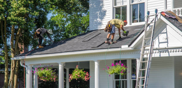 Best Roof Waterproofing Services  in Rkesburg, PA
